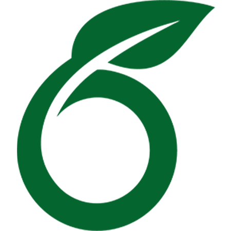 Overleaf